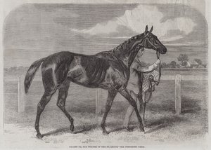 Caller Ou, der Gewinner des St. Leger von Harry Hall