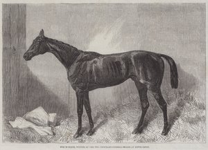 Der Marquis, Gewinner der Two Thousand Guineas Stakes in Newmarket von Harry Hall
