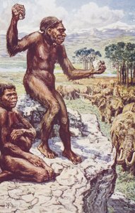 Neandertaler, Illustration aus 