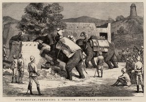 Afghanistan, Befestigung einer Position, Elefanten reißen Nebengebäude ab