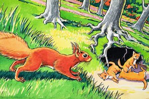 Kleines rotes Eichhörnchen