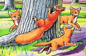 Kleines rotes Eichhörnchen