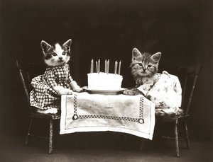 Kätzchen-Serie: Geburtstagsfeier, ca. 1914
