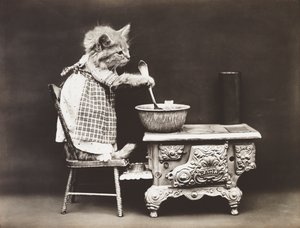 Kitties Serie: Koch am Herd, um 1914