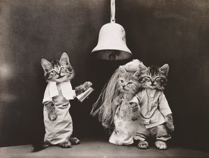 Kätzchen-Serie: Hochzeit, ca. 1914