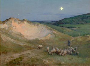 Abend auf den Dünen von Harry van der Weyden