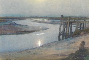 Mondlicht - Roggen von Harry van der Weyden