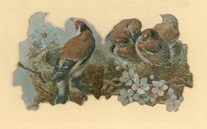 Vögel