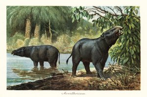 Moeritherium, ausgestorbene Gattung der Proboscidea des Eozäns von Heinrich Harder