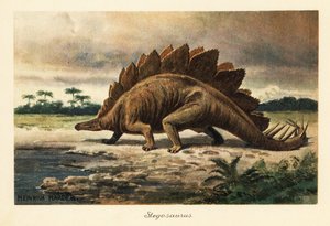 Stegosaurus armatus aus dem späten Jura von Heinrich Harder