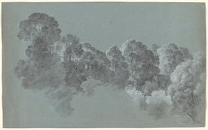 Waldwipfel vom Licht getroffen von Heinrich Rieter