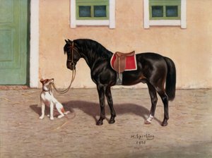 Pferd, Rappe (nach H. Sperling)