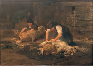 Die Schafschur