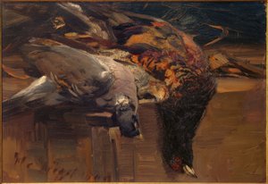 Erlegtes Federwild