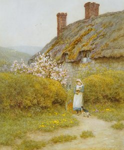 Ein Cottage in Dorsetshire