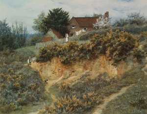 In Sandhills, Witley