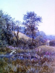 Blumen pflücken am Teich