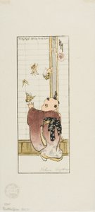 Schmetterlinge