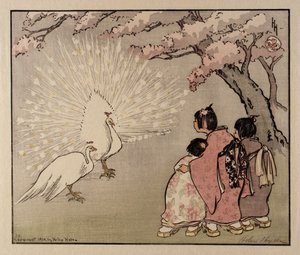 Der Weiße Pfau