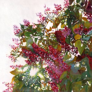 Erglühen, 2015