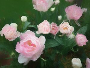 Rosenbett