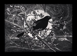 Amsel, 2023 von Helen White