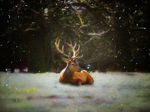 Weihnachts-Hirsch, 2019 von Helen White