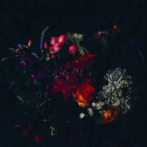 Dunkle Blume