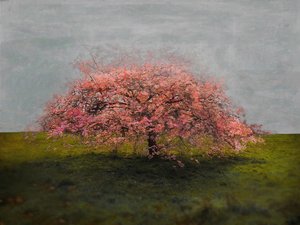 Alleinstehende Schönheit, 2019 von Helen White