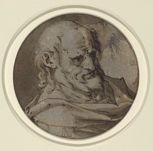 Kopf eines Apostels von Hendrick Goltzius