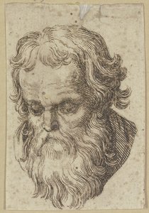 Kopf eines bärtigen Mannes, nach vorn gebeugt von Hendrick Goltzius