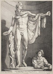 Der Apollo von Belvedere