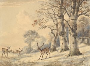 Hirsche unter Buchen im Sommer, 1853 von Hendrik Gerrit ten Cate