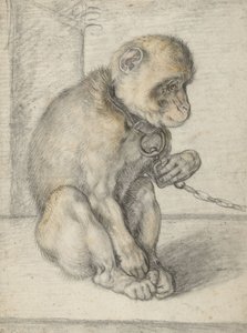 Ein sitzender Affe an einer Kette, 1592-1602