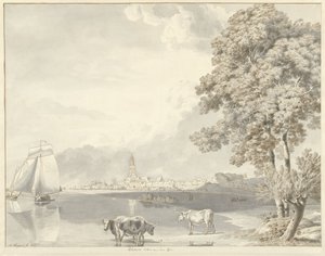 Blick über den Rhein auf Rhenen