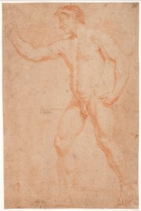 Männliches Modellstudie, stehend, mit erhobenem Arm