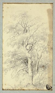 Baum von Hendrik Pieter Koekkoek