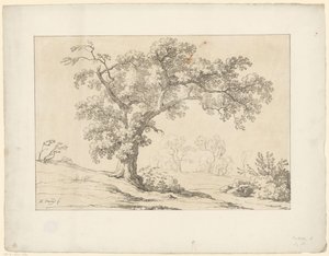 Baum in Landschaft