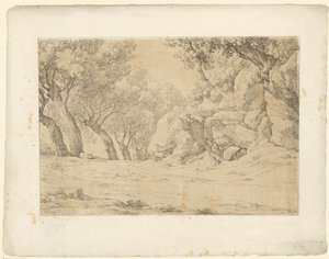 Allee mit bewachsenen Felsen