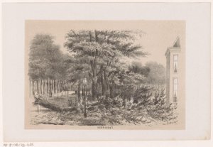Umgestürzter Baum bei Voorhout nach dem Sturm vom 28. Mai 1860 von Hendrik Wilhelmus Last