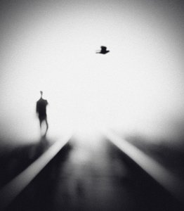 Einsamer Mann mit fliegendem Vogel