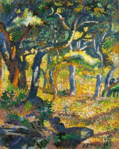 Eine Lichtung in der Provence (Studie) von Henri-Edmond Cross
