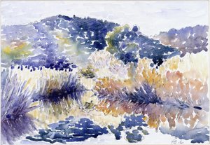 Teich im Gebüsch von Henri-Edmond Cross