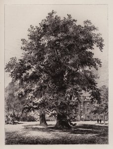 Cambridge: Der Garten des Christ