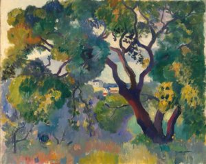 Landschaft bei St. Tropez
