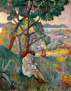 Saint-Tropez, Blick von der Villa Demièrie