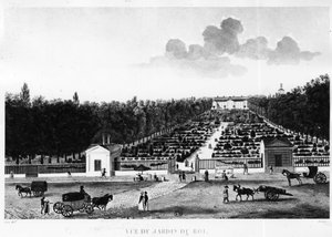 Ansicht des Königsgartens: der Jardin des Plantes in Paris - Gravur von Courvoisier