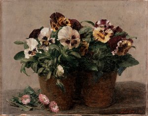 Stillleben: Stiefmütterchen und Gänseblümchen