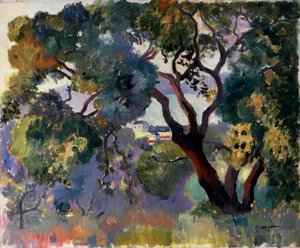 Landschaft in Saint-Tropez, 1905