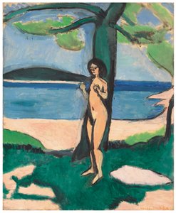 Akt am Meer von Henri Matisse